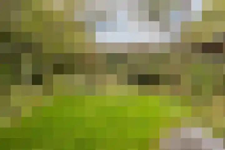 Acacialaan 8 Renswoude thumbnail 30