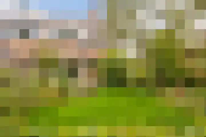 Acacialaan 8 Renswoude thumbnail 31