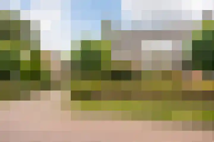 Acacialaan 8 Renswoude thumbnail 32