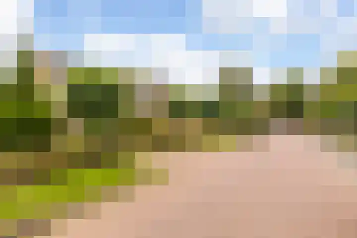 Acacialaan 8 Renswoude thumbnail 33