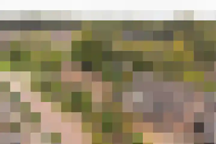 Acacialaan 8 Renswoude thumbnail 35