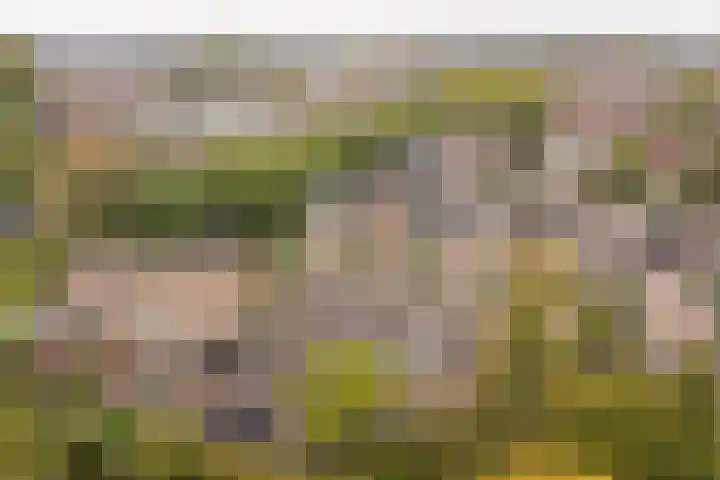 Acacialaan 8 Renswoude thumbnail 36