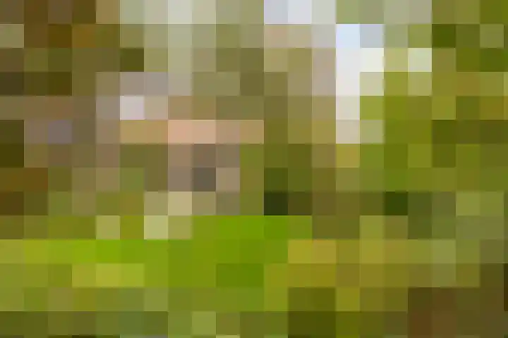 Acacialaan 8 Renswoude thumbnail 4