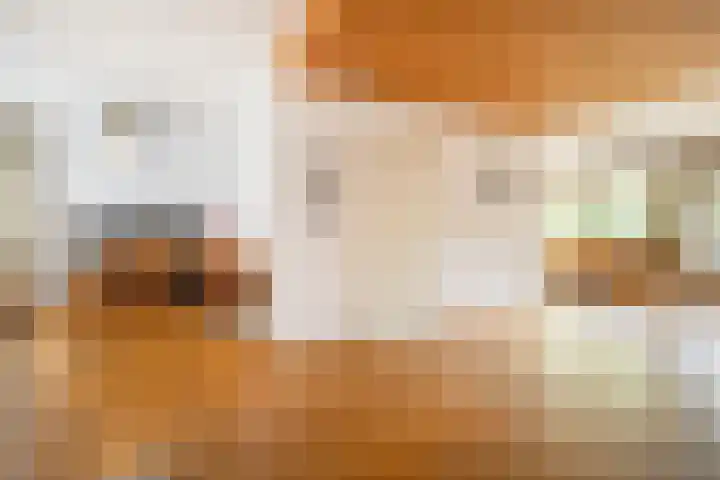 Acacialaan 8 Renswoude thumbnail 9