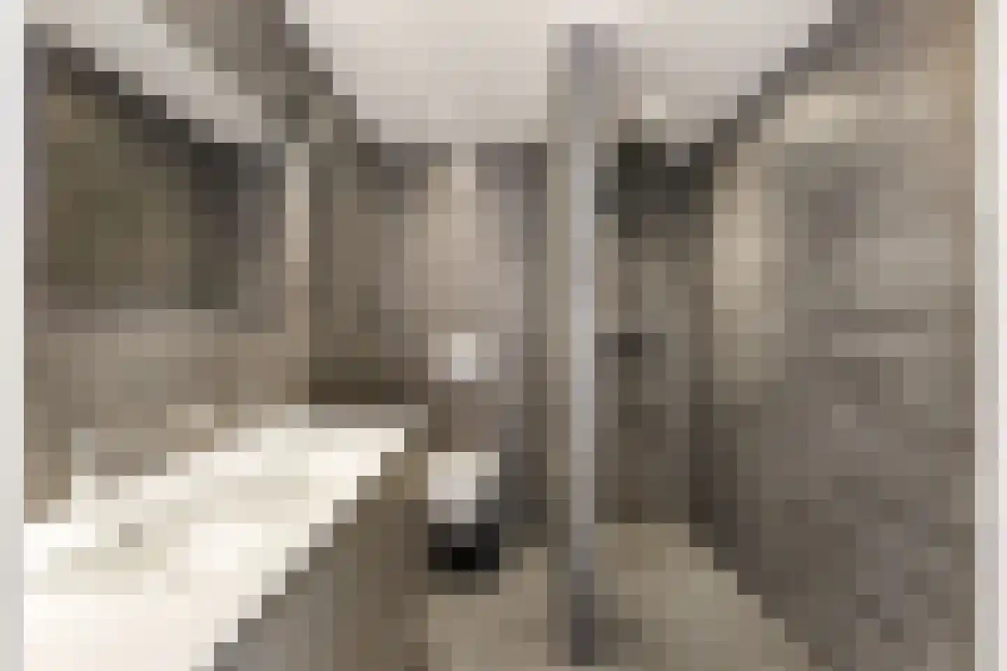 Acacialaan 9 Renswoude thumbnail 18