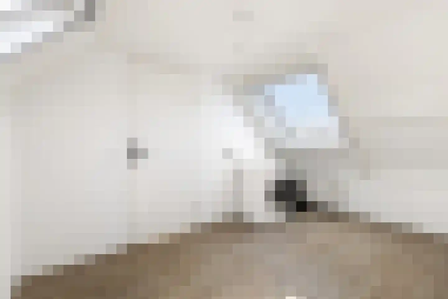 Acacialaan 9 Renswoude thumbnail 30