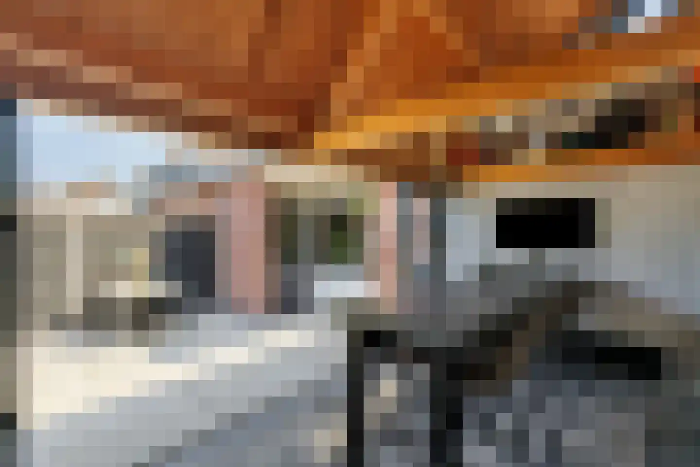 Acacialaan 9 Renswoude thumbnail 35