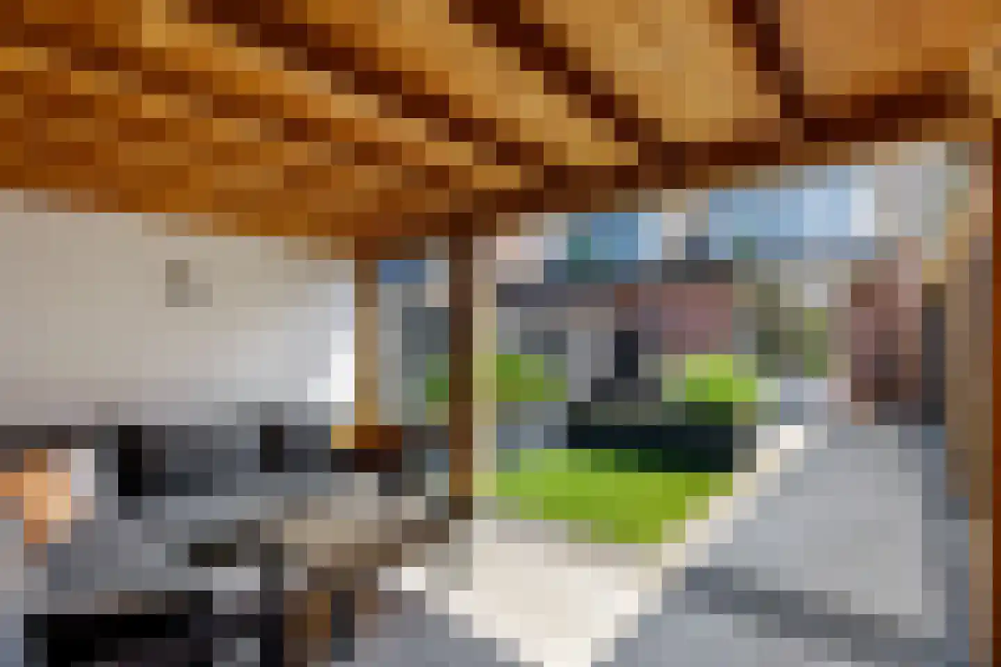 Acacialaan 9 Renswoude thumbnail 40