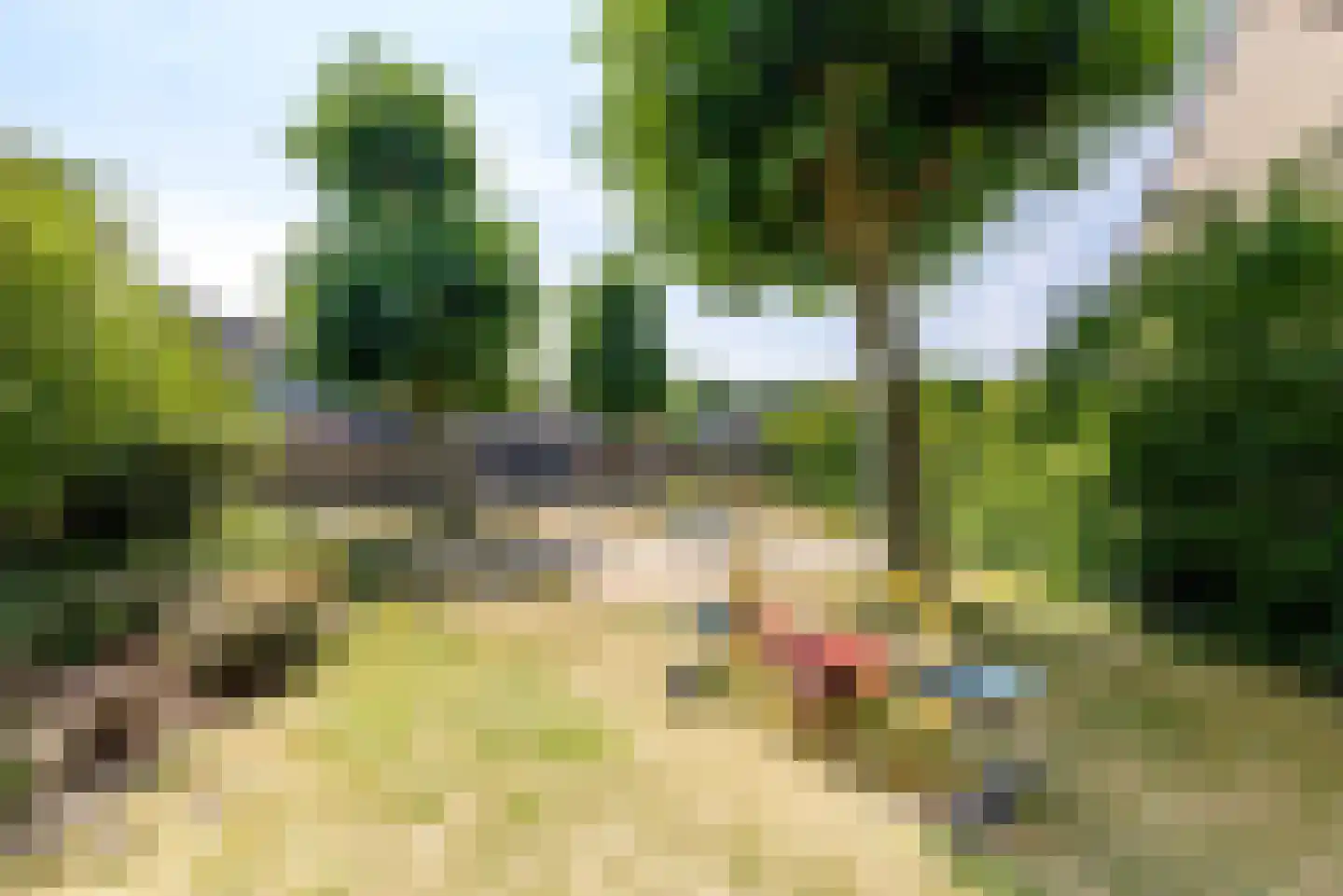 Acacialaan 9 Renswoude thumbnail 46