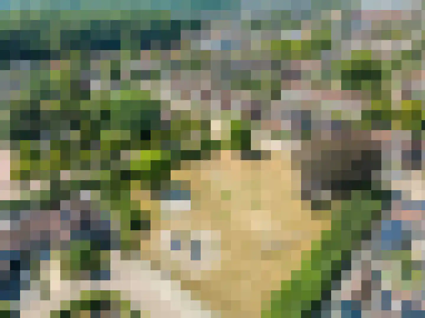 Acacialaan 9 Renswoude thumbnail 54