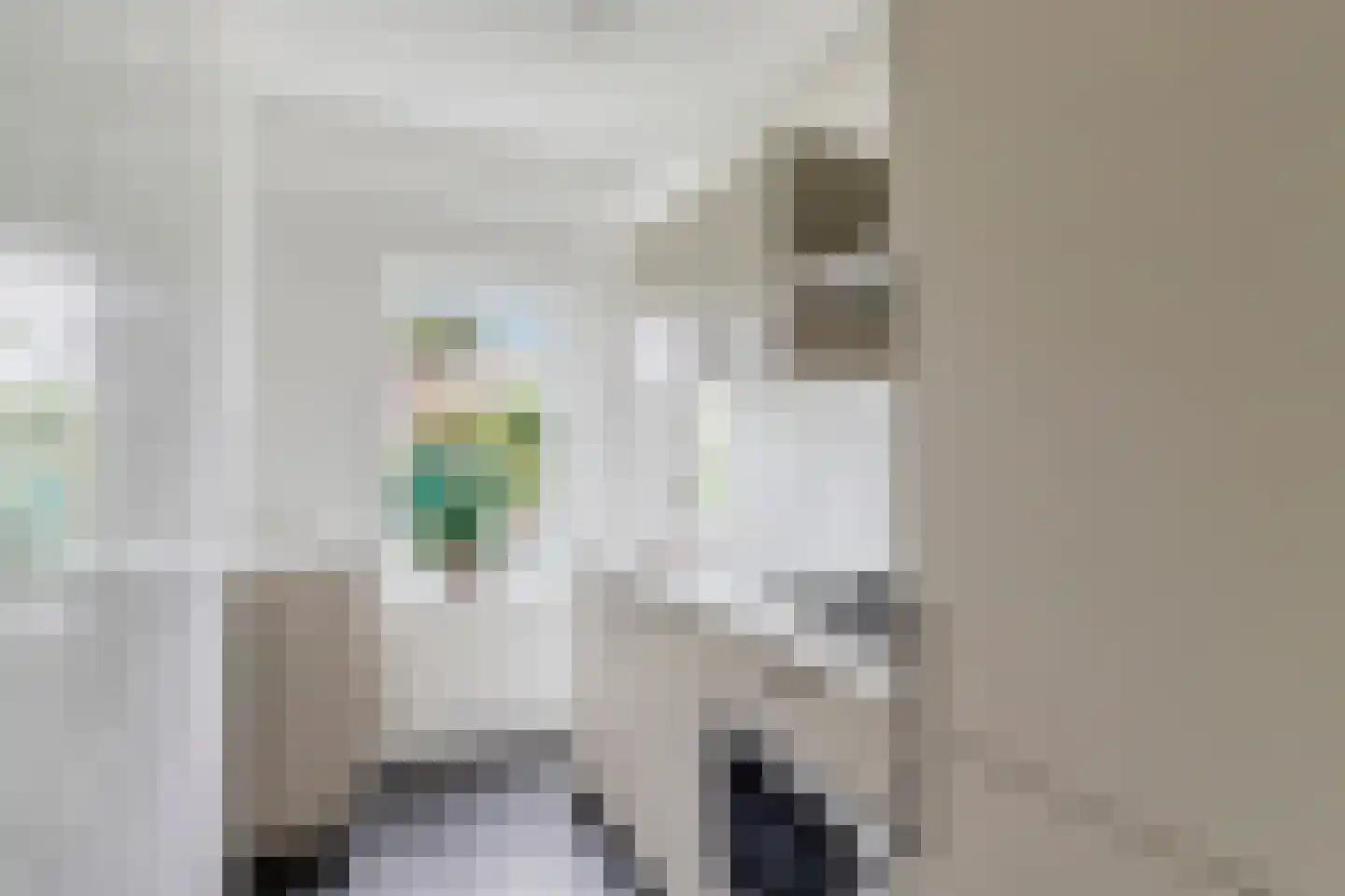 Acacialaan 9 Rijswijk thumbnail 12