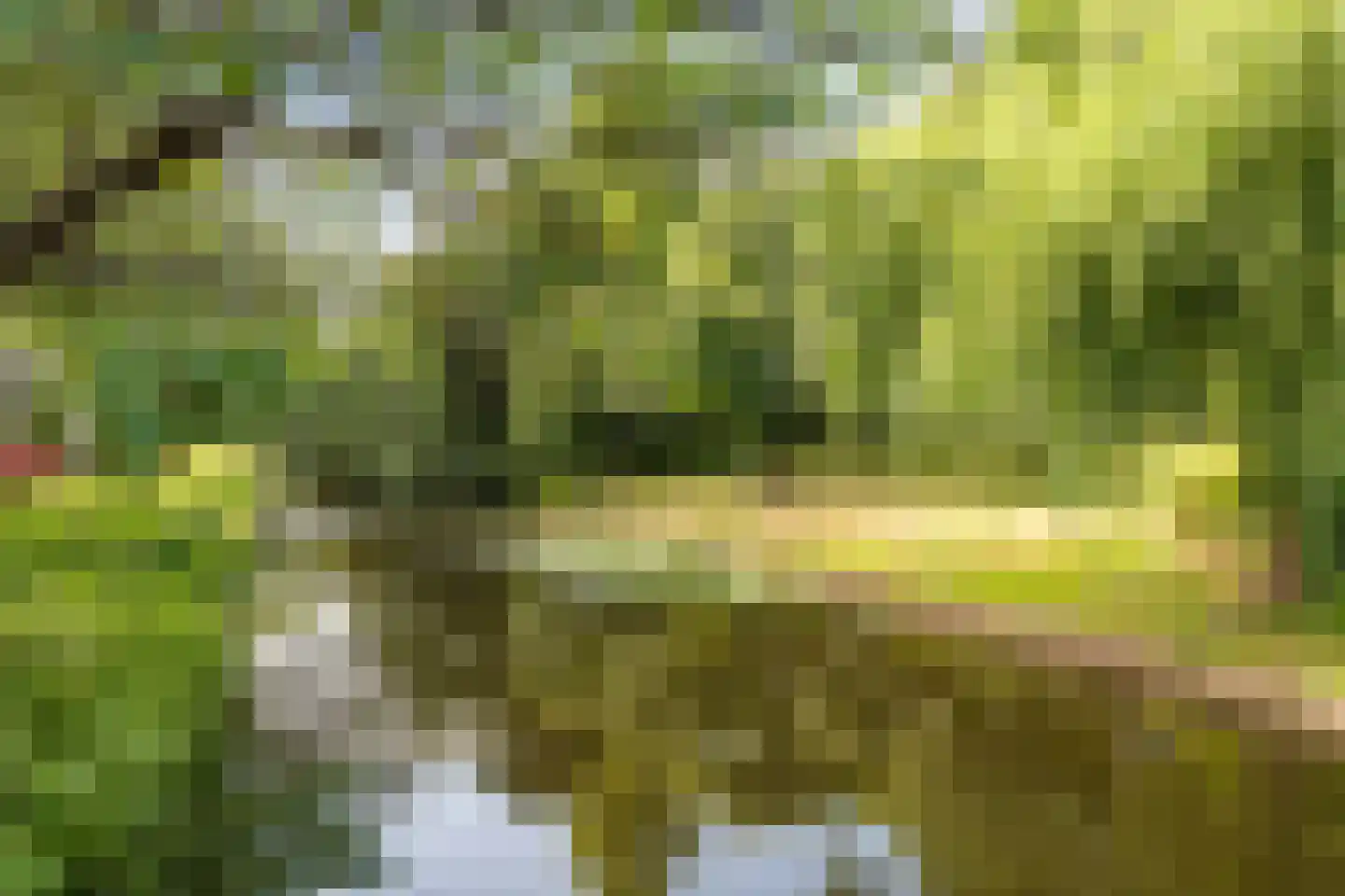 Acacialaan 9 Rijswijk thumbnail 21