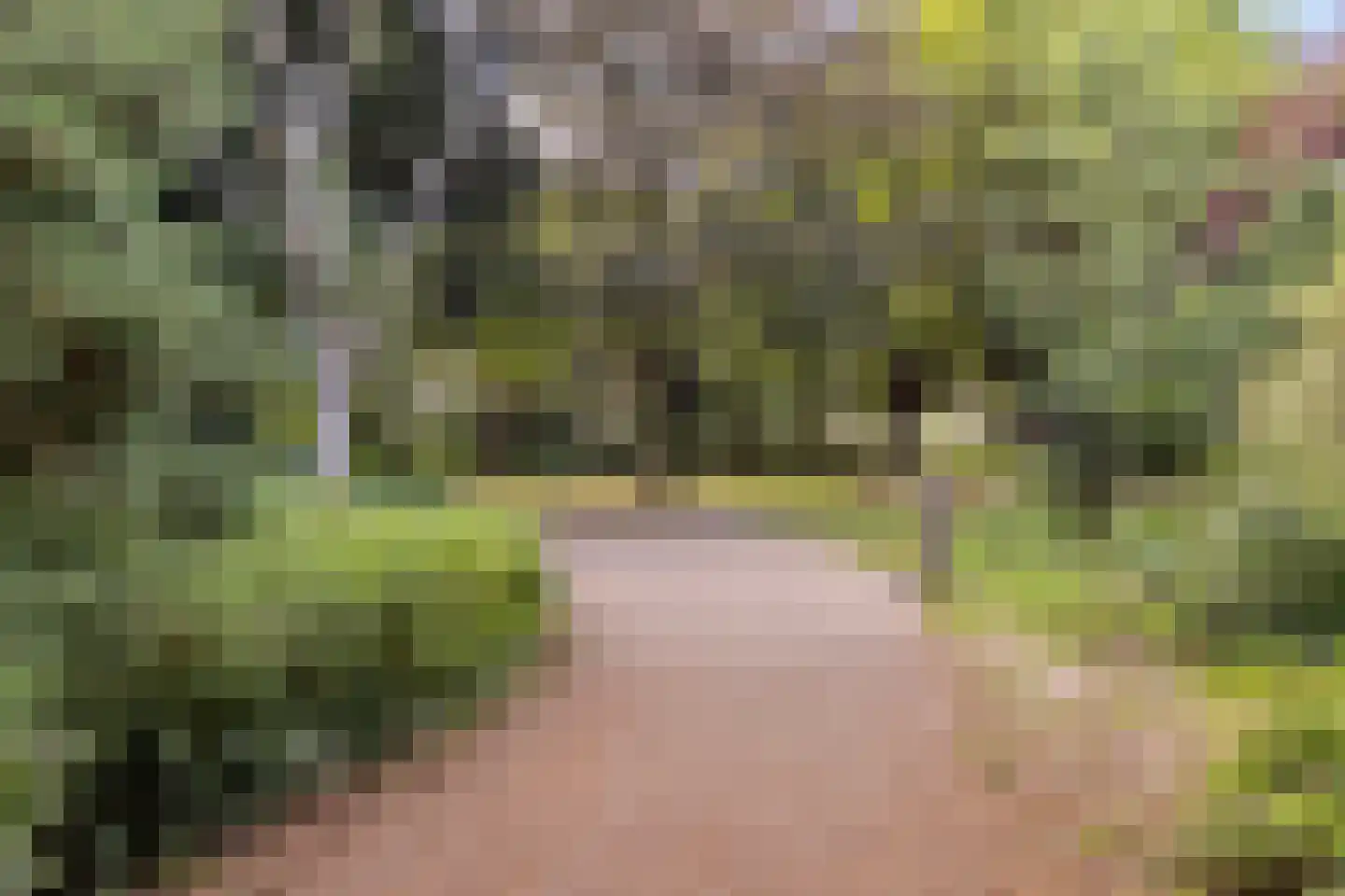 Acacialaan 9 Rijswijk thumbnail 23
