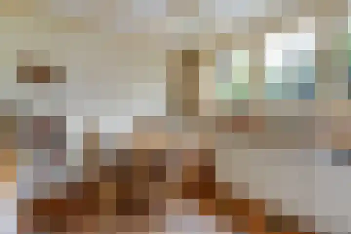 Acacialaan 9 Sleeuwijk thumbnail 21