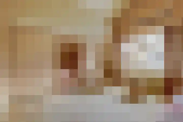 Acacialaan 9 Sleeuwijk thumbnail 33