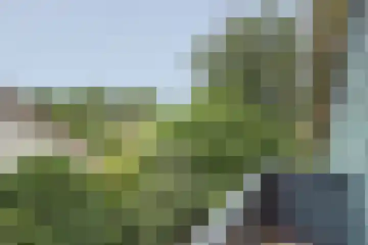 Acacialaan 9 Sleeuwijk thumbnail 34