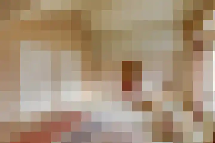 Acacialaan 9 Sleeuwijk thumbnail 35