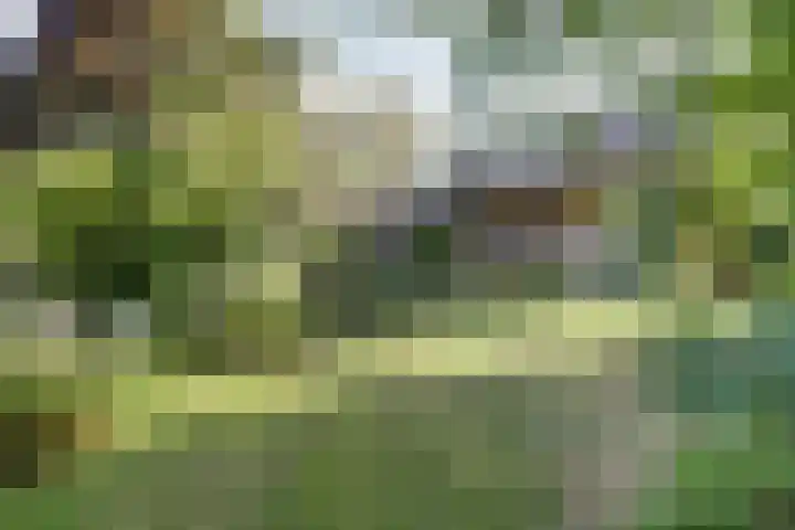 Acacialaan 9 Sleeuwijk thumbnail 40
