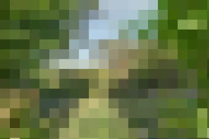 Acacialaan 9 Sleeuwijk thumbnail 42