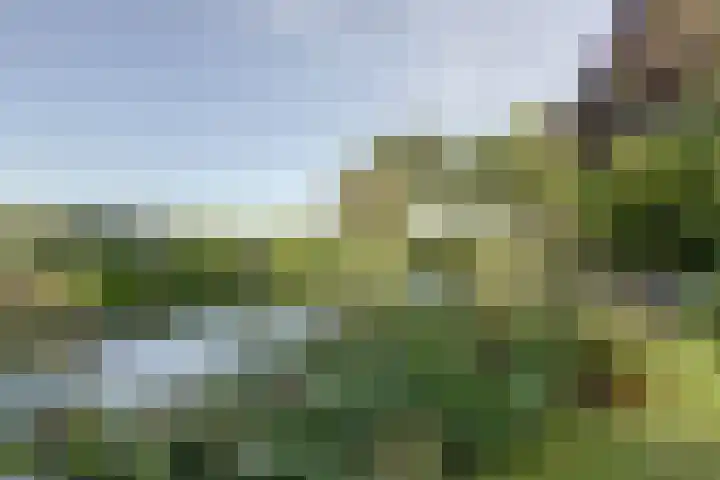 Acacialaan 9 Sleeuwijk thumbnail 43