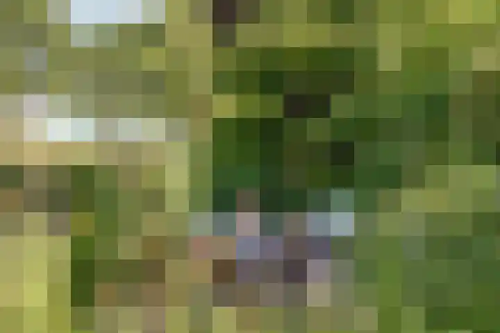 Acacialaan 9 Sleeuwijk thumbnail 44