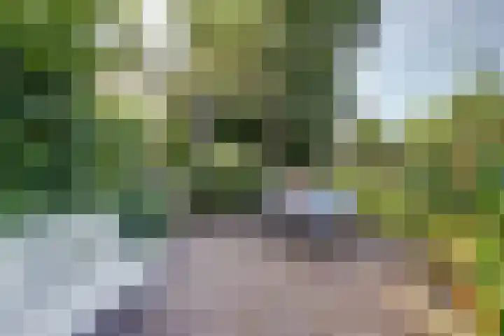 Acacialaan 9 Sleeuwijk thumbnail 45