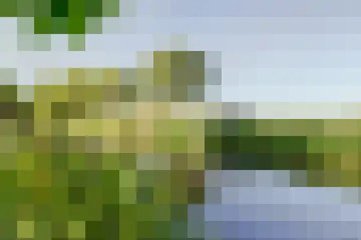 Acacialaan 9 Sleeuwijk thumbnail 46