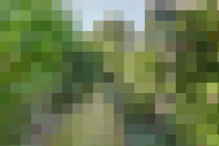 Acacialaan 9 Sleeuwijk thumbnail 47