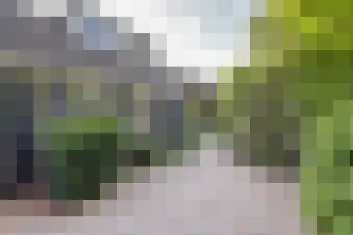 Acacialaan 9 Sleeuwijk thumbnail 48