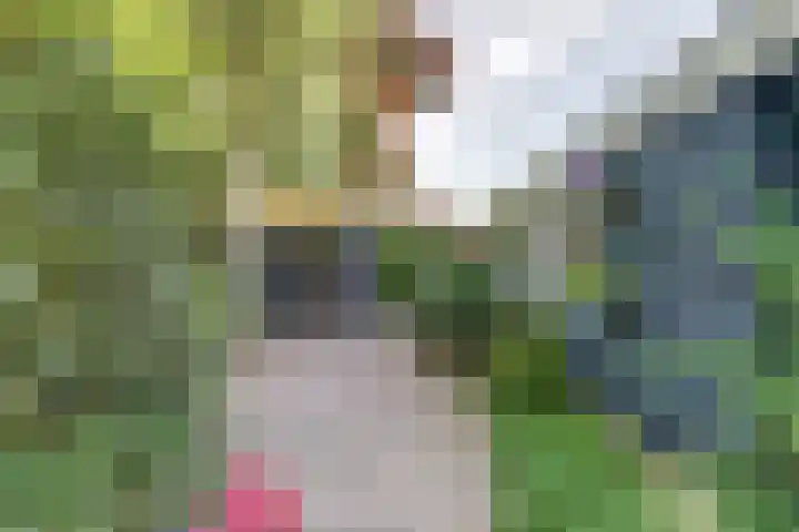 Acacialaan 9 Sleeuwijk thumbnail 49