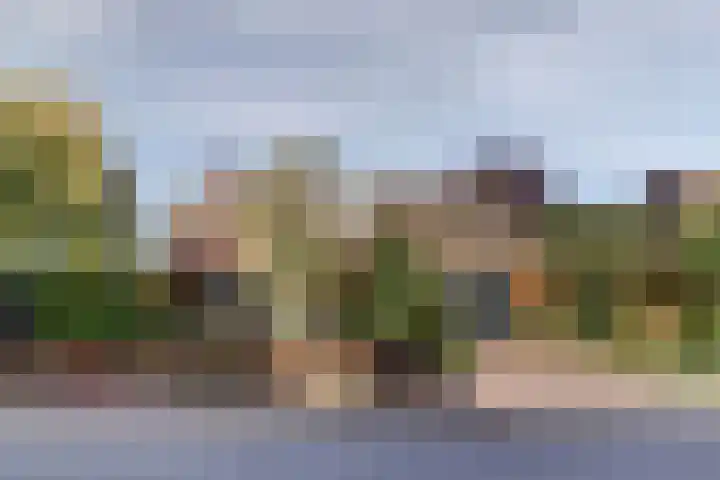 Acacialaan 9 Sleeuwijk thumbnail 51