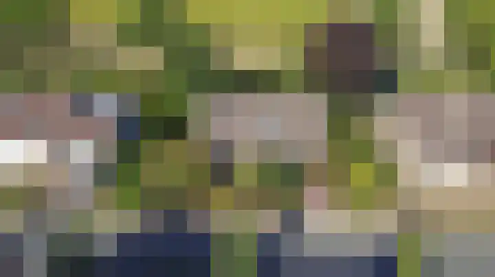 Acacialaan 9 Sleeuwijk thumbnail 57