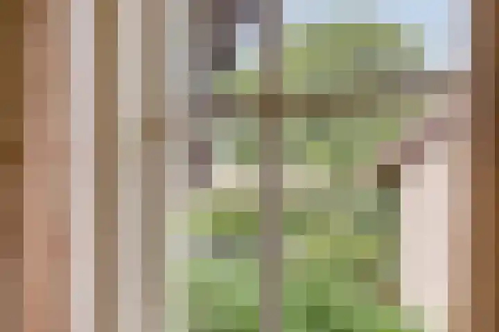 Acacialaan 9 Sleeuwijk thumbnail 58