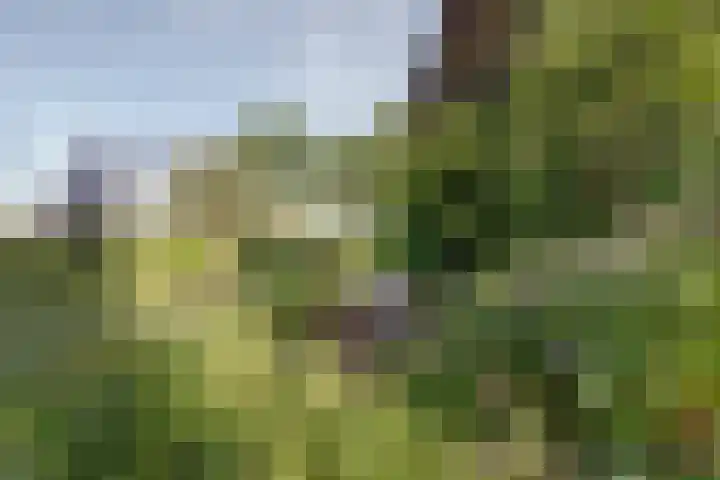 Acacialaan 9 Sleeuwijk thumbnail 59