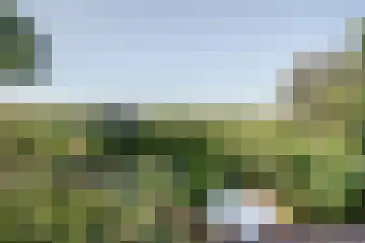 Acacialaan 9 Sleeuwijk thumbnail 60