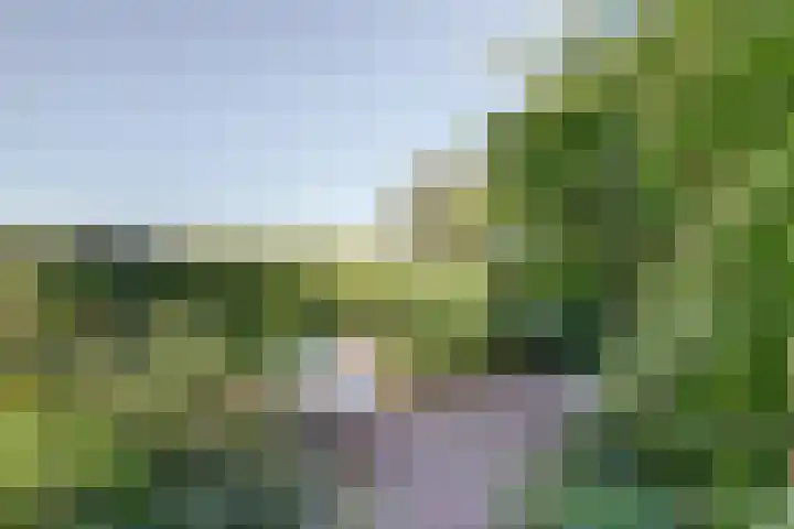 Acacialaan 9 Sleeuwijk thumbnail 61