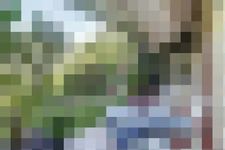 Acacialaan 9 Sleeuwijk thumbnail 62