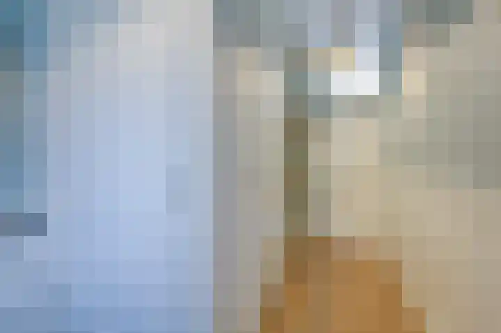 Acaciapad 16 Duiven thumbnail 12