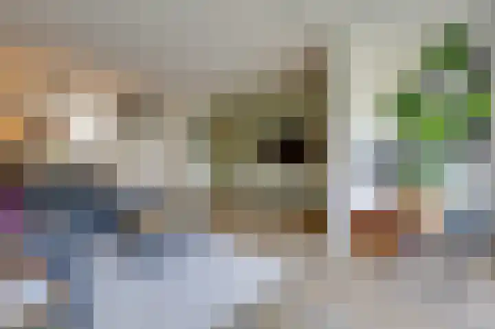 Acaciapad 16 Duiven thumbnail 20