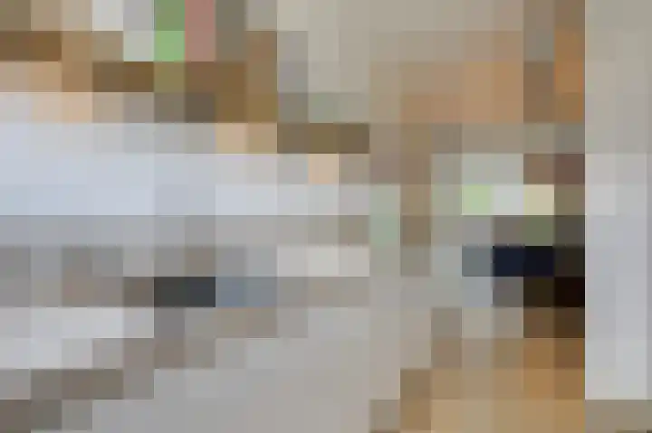 Acaciapad 16 Duiven thumbnail 29