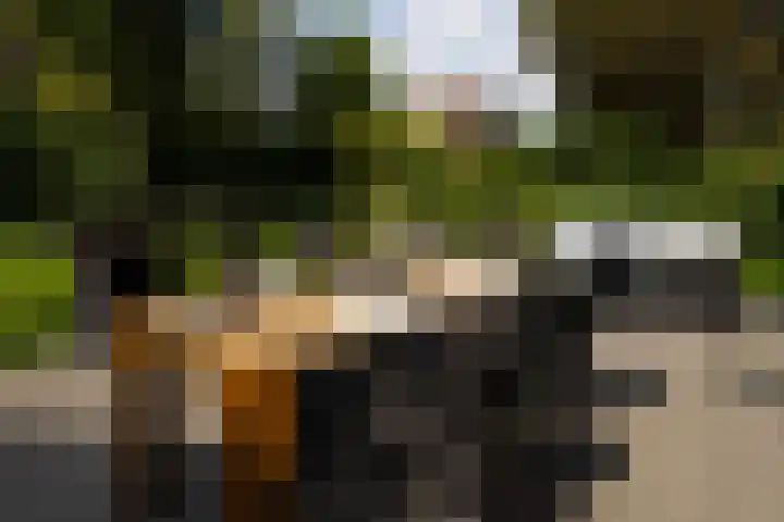 Acaciapad 16 Duiven thumbnail 31
