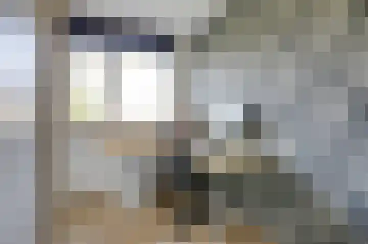 Acaciapad 16 Duiven thumbnail 33