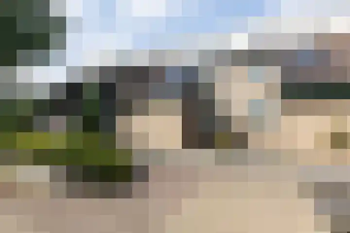 Acaciapad 16 Duiven thumbnail 5