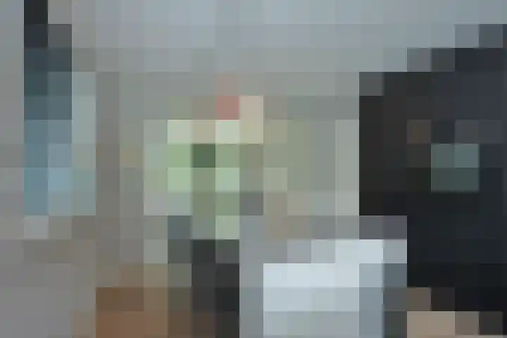 Acaciapad 16 Duiven thumbnail 52