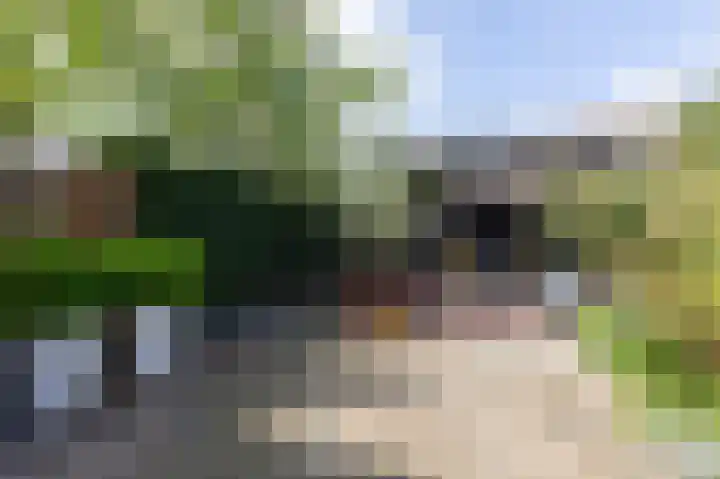 Acaciapad 16 Duiven thumbnail 53