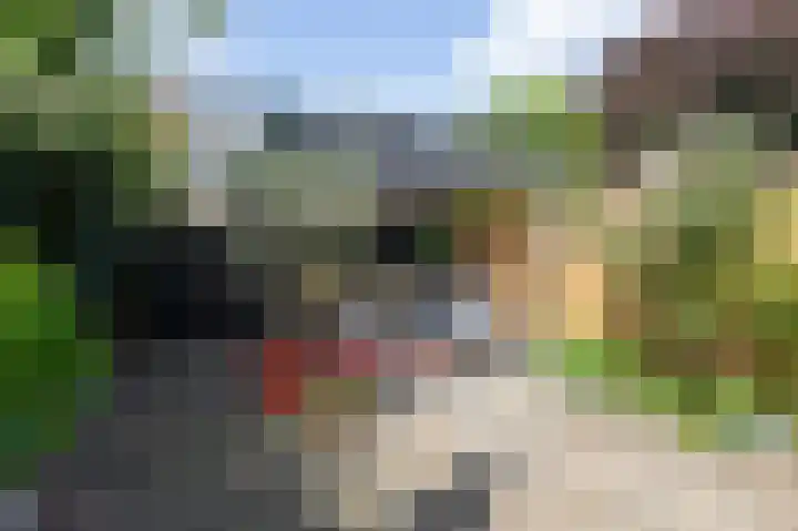 Acaciapad 16 Duiven thumbnail 55