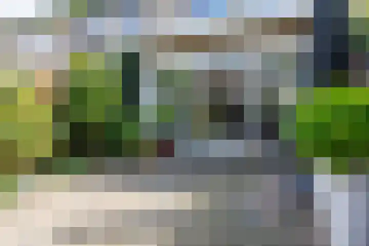 Acaciapad 16 Duiven thumbnail 62
