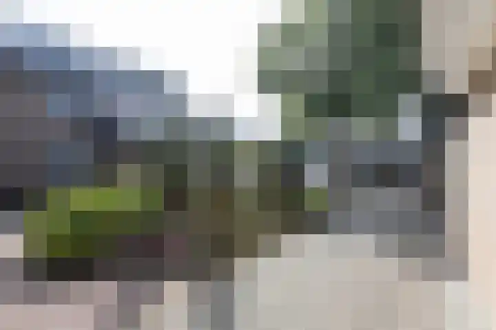 Acaciapad 16 Duiven thumbnail 67
