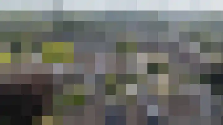Acaciapad 16 Duiven thumbnail 69