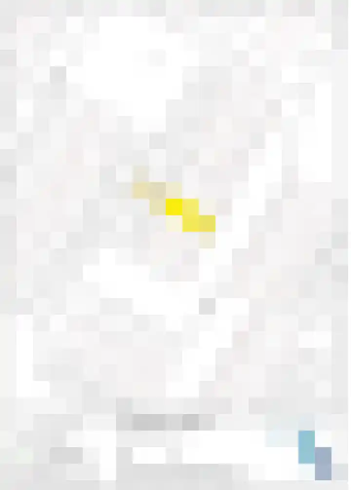 Acaciapad 16 Duiven thumbnail 73